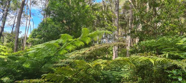 Garton Road Peria_12