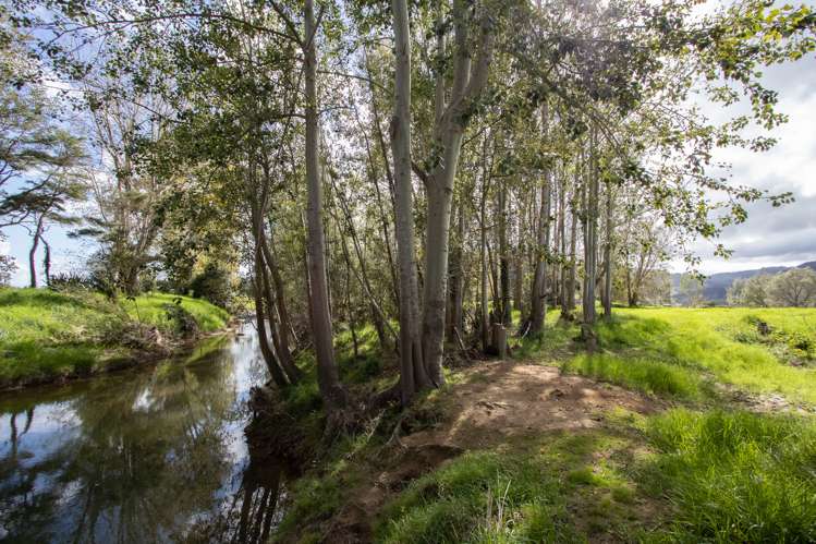 21 Puriri Valley Road Puriri_21