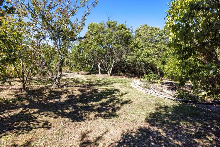 30 Natzka Road Ostend_16