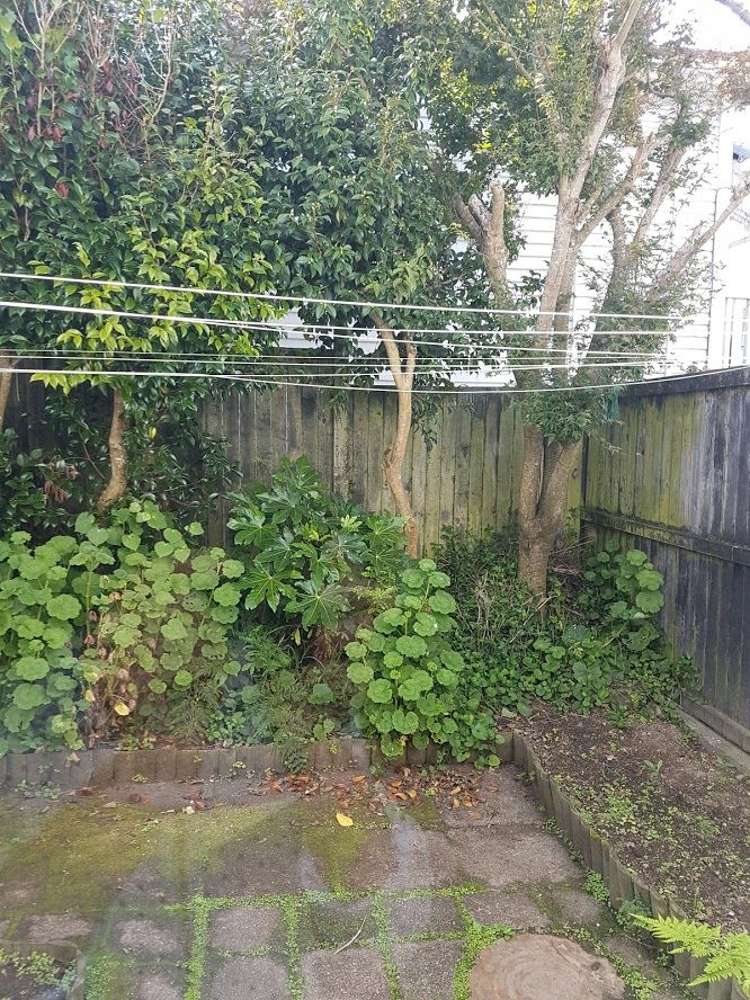 24/10 Pitarua Street Thorndon_6