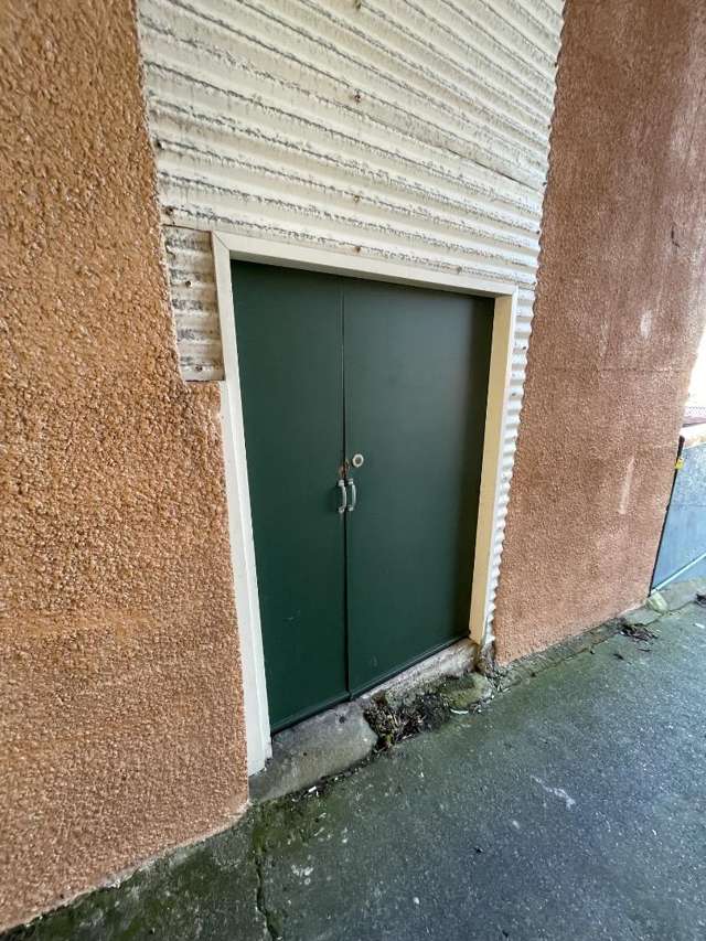 2/3/50 Cleveland Street (Storage Unit) 1259_1
