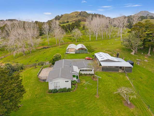 809 Tangihua Road Maungakaramea_2