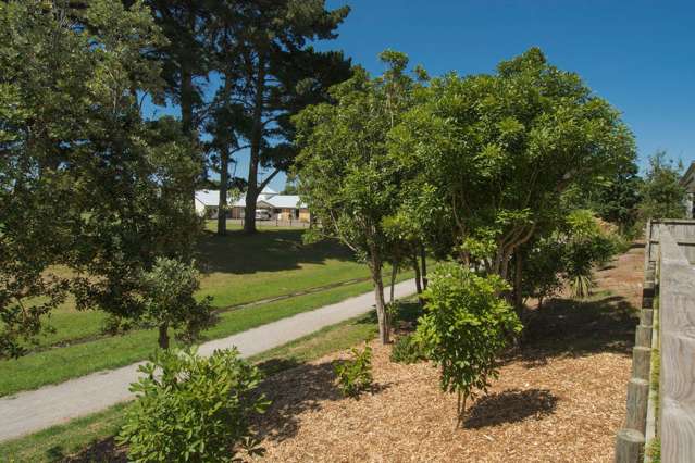 8 Ella Place Papamoa_2