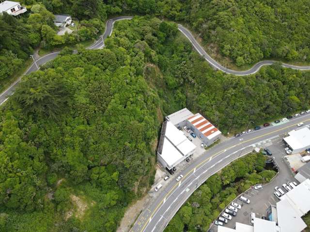 62 Kaiwharawhara Road Kaiwharawhara_2