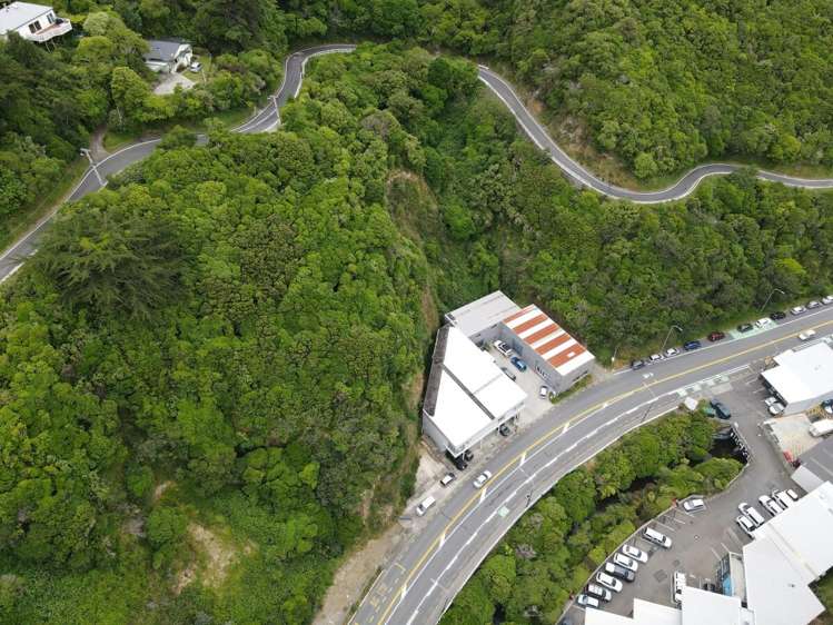 62 Kaiwharawhara Road Kaiwharawhara_2