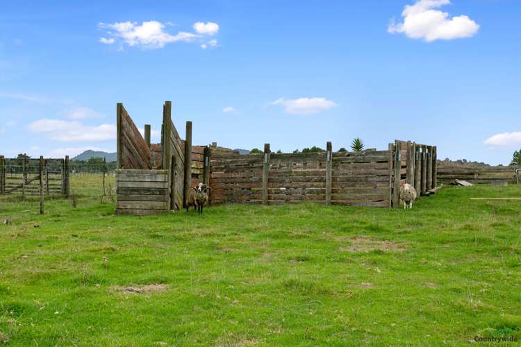 1348c State Highway 5 Tapapa_18