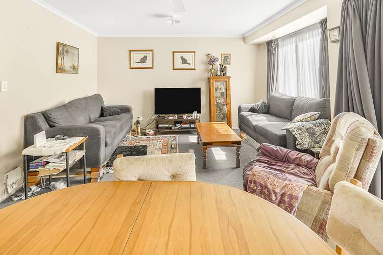 14a Lorne Street Morrinsville_5