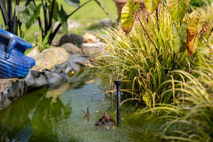 17 Vogel Street Cambridge_22