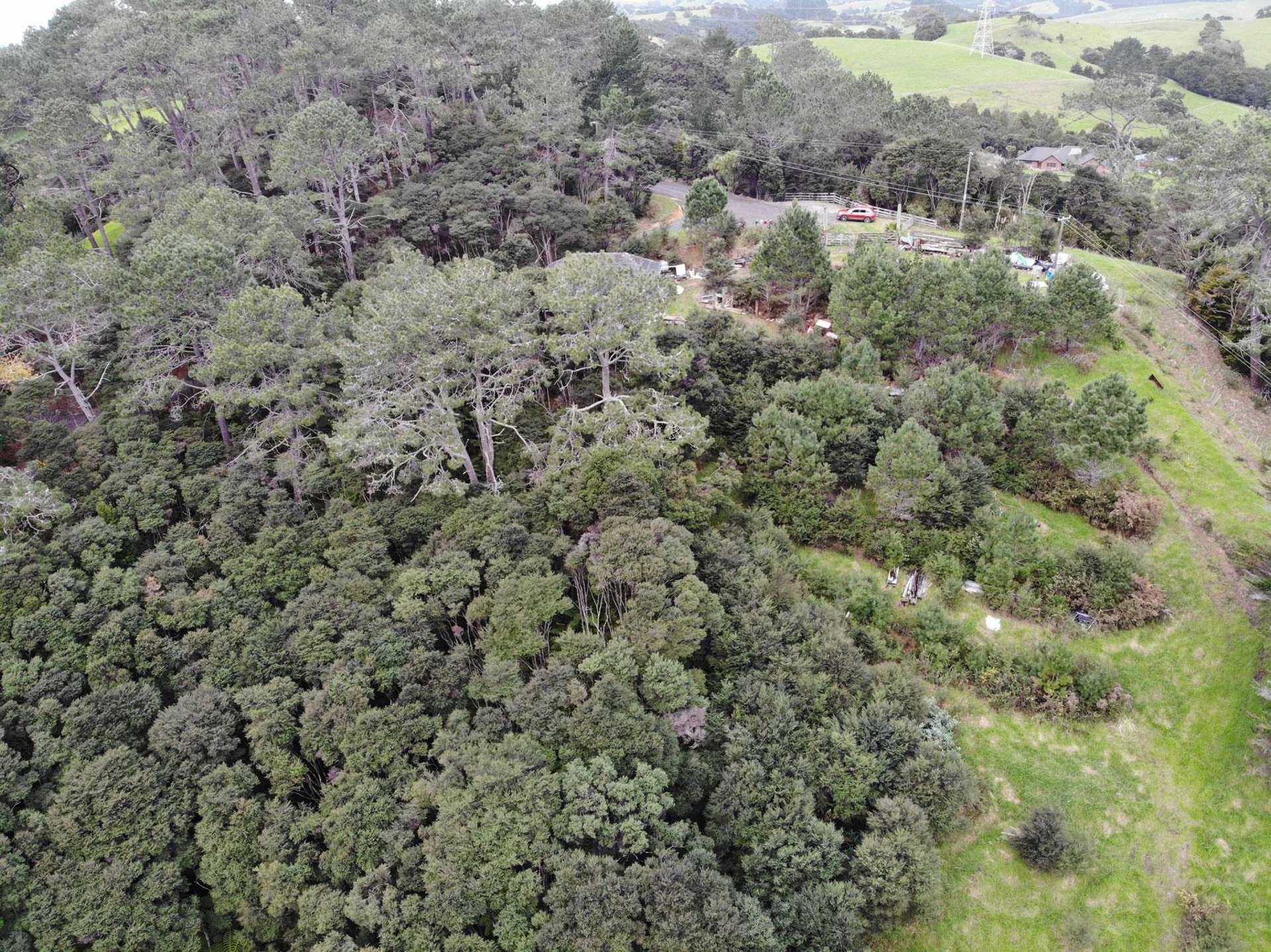 Sheffield Road Helensville_0