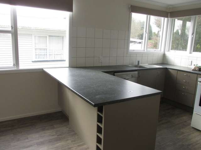 101 Reservoir Street Putaruru_2