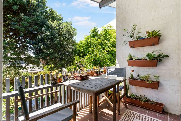 1/6 Speight Road Kohimarama_13