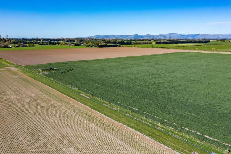 Selwyn Lake Road Leeston_1