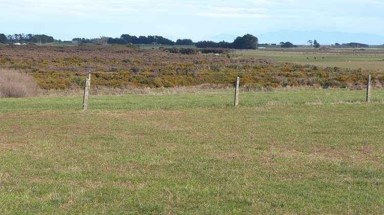 941 Riverton Wallacetown Highway Southland_10