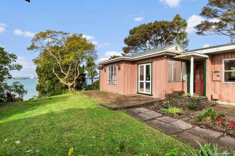 21 Frederick Street Hillsborough_4