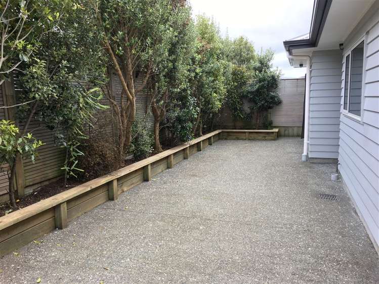 2 Colson Street Avalon_13