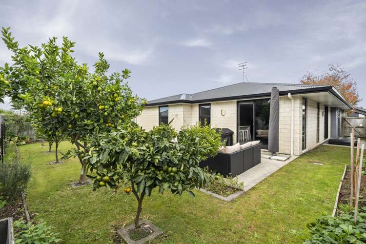 18 Tuaia Street Pyes Pa_19