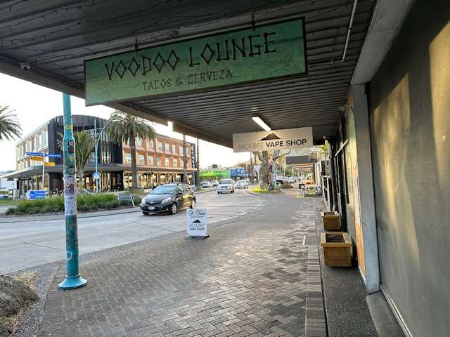 313 Maunganui Road Mt Maunganui_1