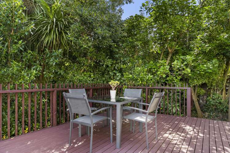 7 Belfast Street Hillsborough_22