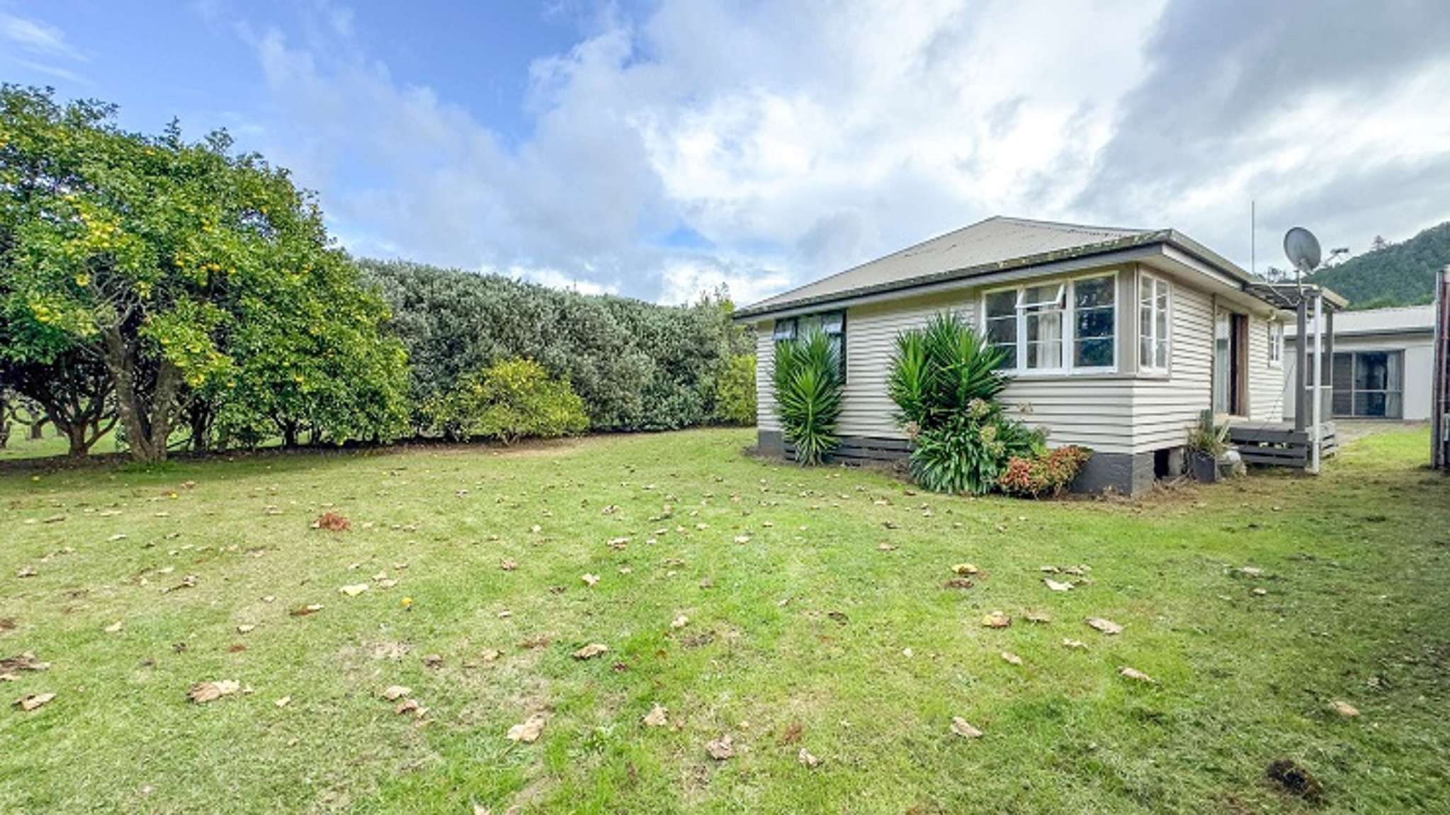 Run-down Whangamatā cottage sells for $495,000 - cheapest sale in beach town in years