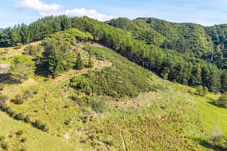 358 Kuku East Road Manakau_17