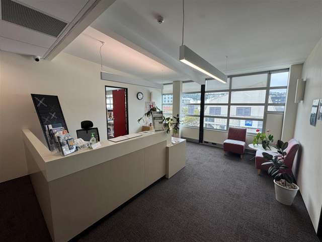 Level 3, 8 Kent Terrace Te Aro_2