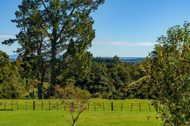 186 Hereford Road Oropi_17