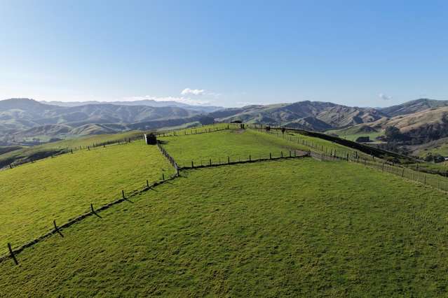 722 Castle Hill Road Alfredton_2