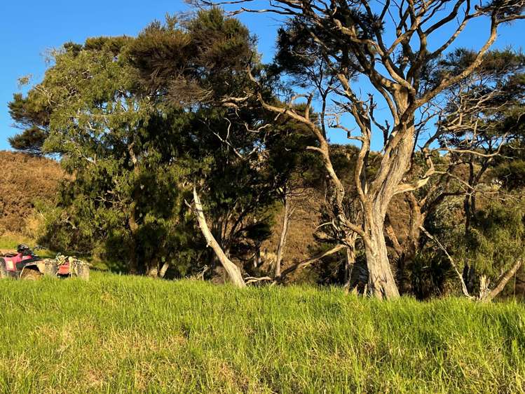 1469 Tuakau Bridge-Port Waikato Road Tuakau_22