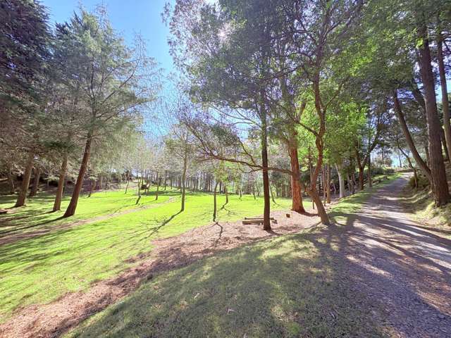 1793 Mohaka Coach Road Mohaka_2