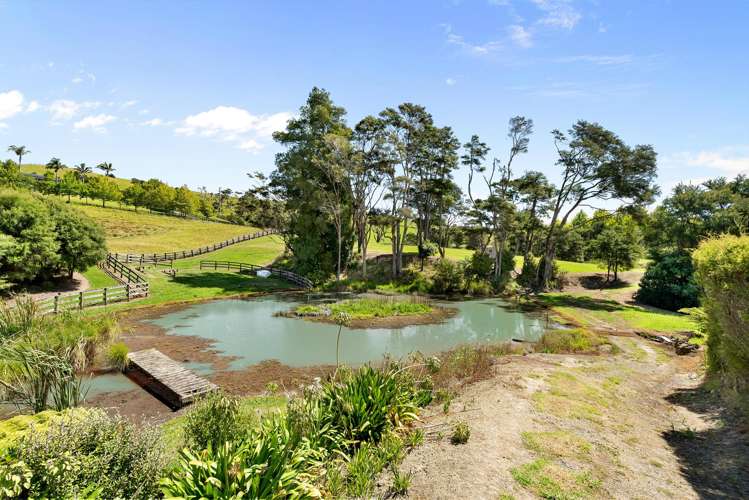 179 Ness Valley Road Ness Valley_16