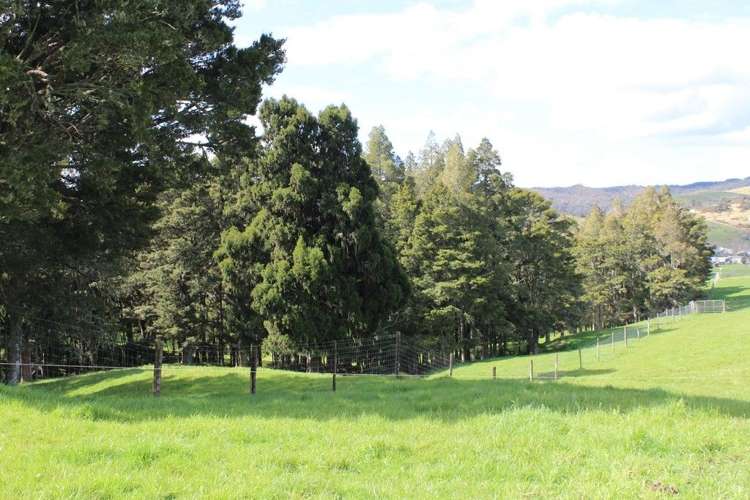 41 View Road Hikurangi_8