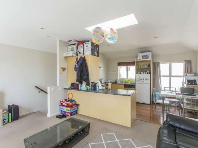 7/25 Mana Street Vogeltown_4