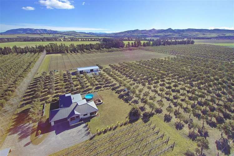 323 Georges Road Amberley_15