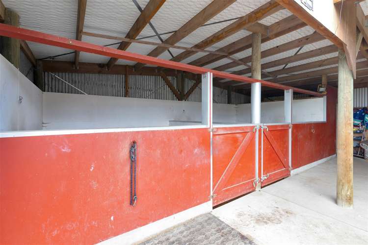 2162 North Eyre Road West Eyreton_34