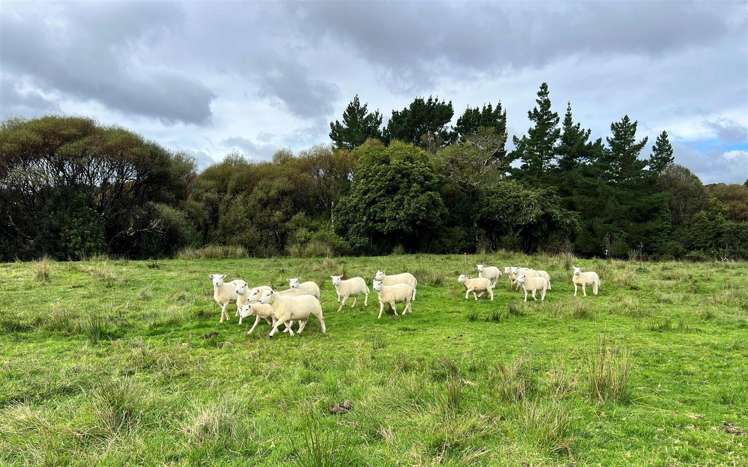 18 Maori Creek Road Marsden_30