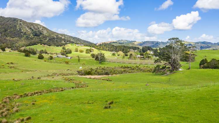 315 Old Kaipara Road Kaipara Flats_7