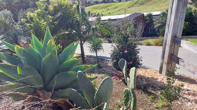 39 Gorge Road Maungaturoto_10