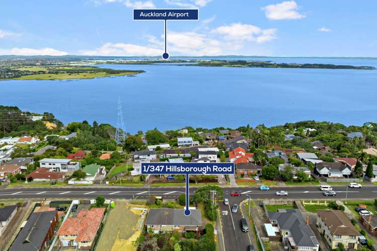 1/347 Hillsborough Road Hillsborough_17