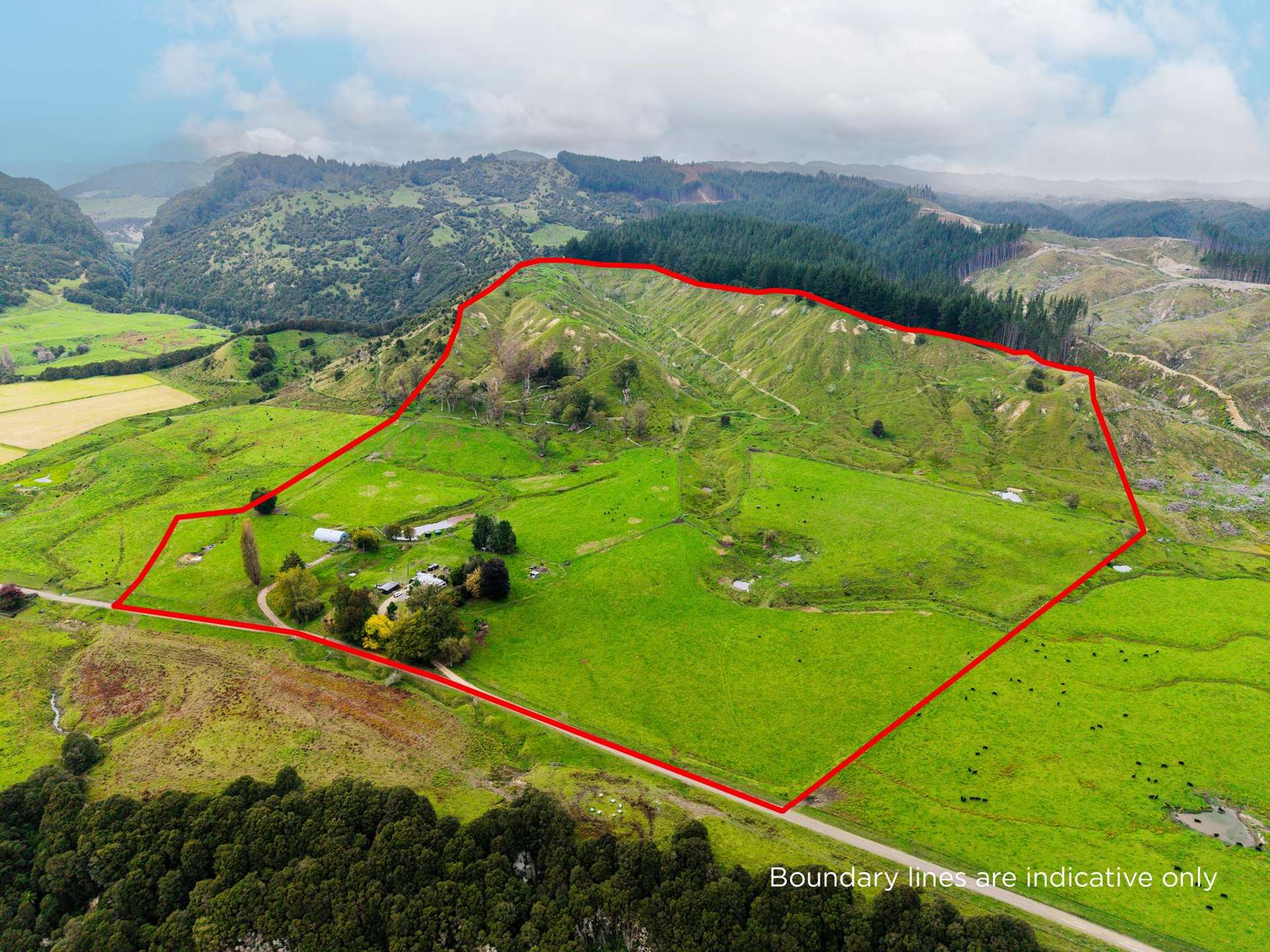 232 Kotare Road Ruakituri_0