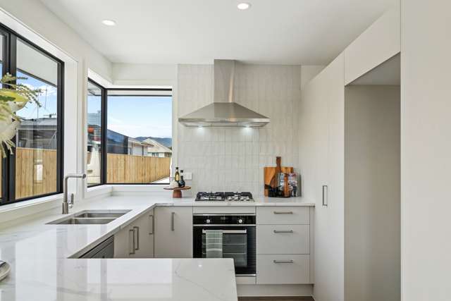 17a Gardener Street Levin_1