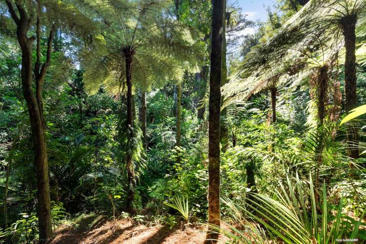 208 Craig Road Pollok_17