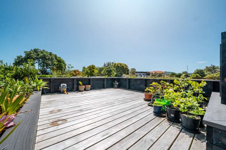 169 Vista Paku Pauanui_5