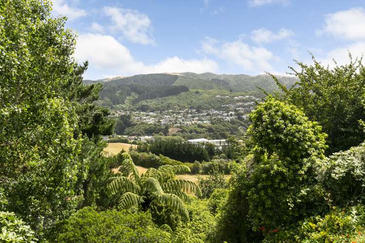 30 Lupin Terrace Tawa_23