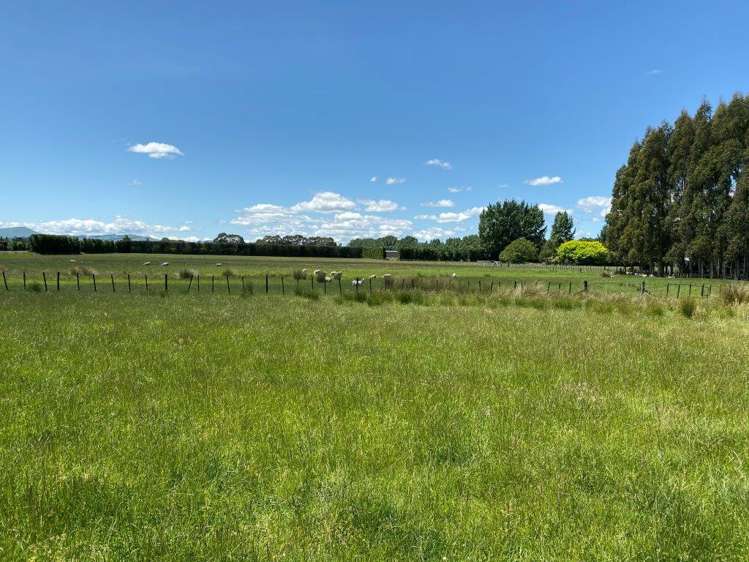 157 Manaia Road Masterton_11