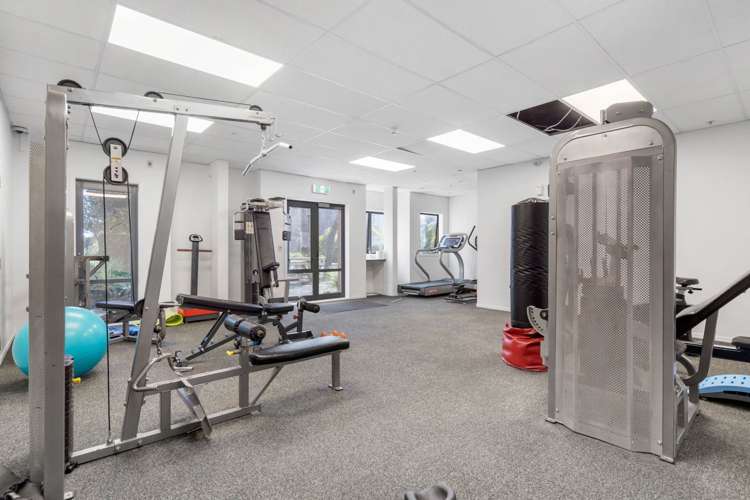 Ga/8 Crown Lynn Place New Lynn_8