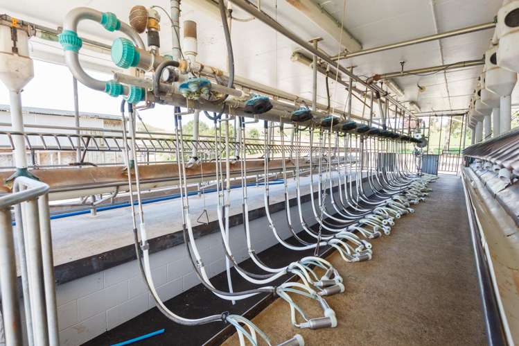 263 Paratu Road, Walton Matamata_18