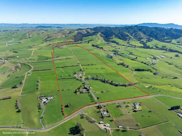 97 Herbert Road Morrinsville_1