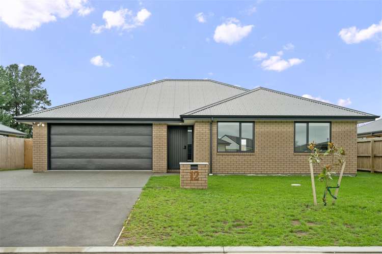 12 Rufus Street Rolleston_19