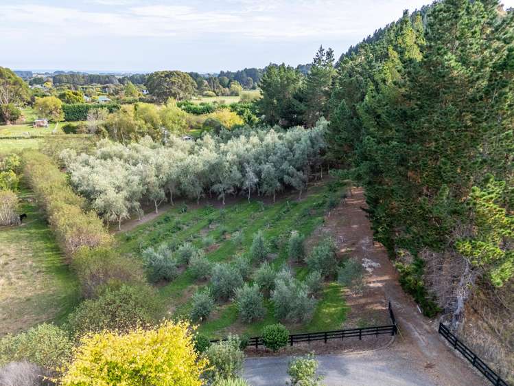 258 Waitohu Valley Road Otaki_6