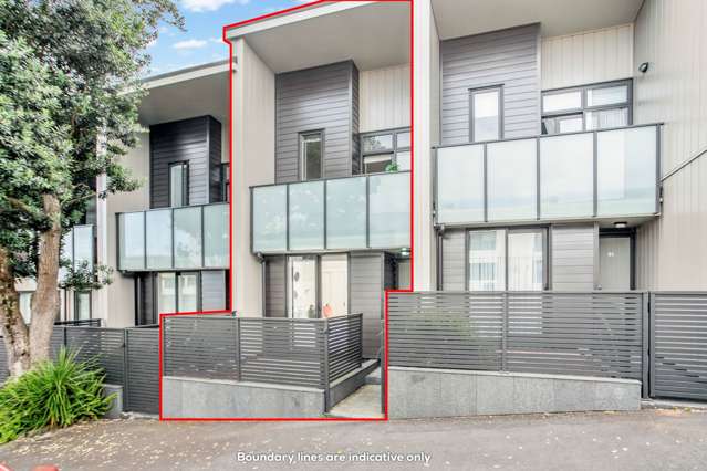 88 Harold Street Mount Eden_1